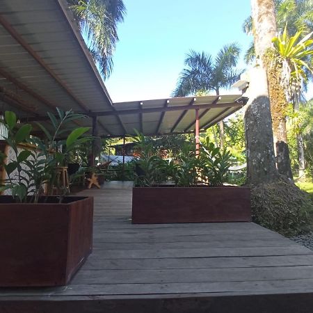 보카스 타운 La Luciernaga Big Creek B&B 외부 사진