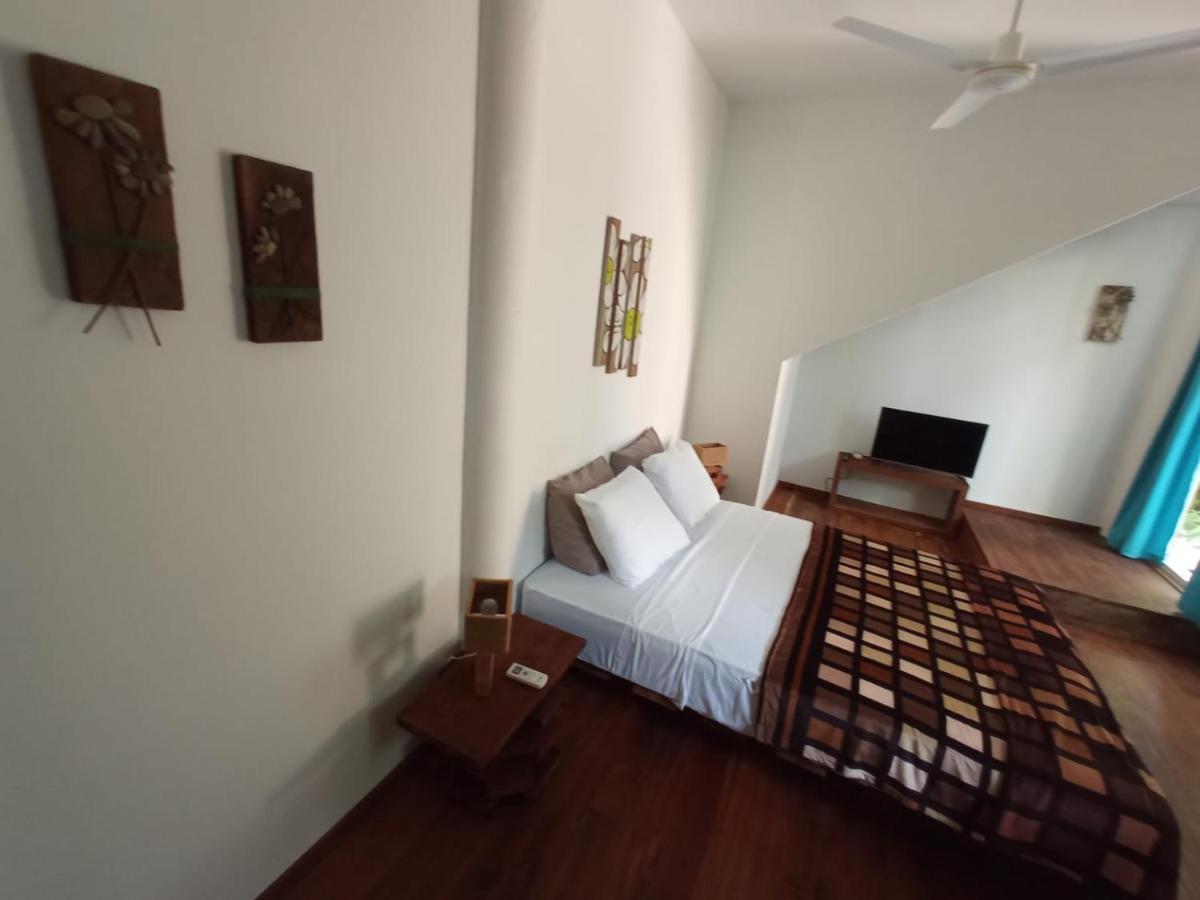 보카스 타운 La Luciernaga Big Creek B&B 외부 사진