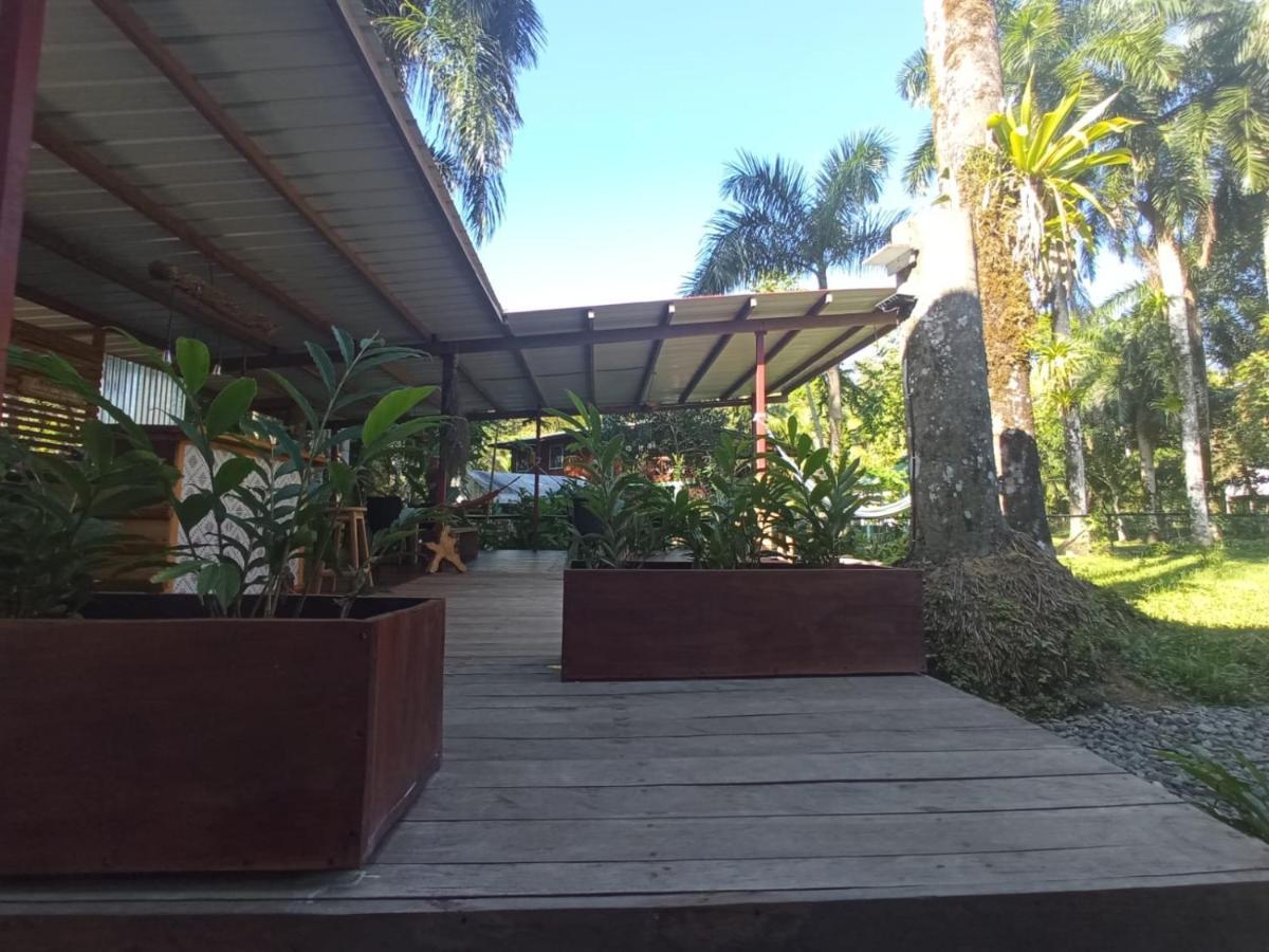 보카스 타운 La Luciernaga Big Creek B&B 외부 사진
